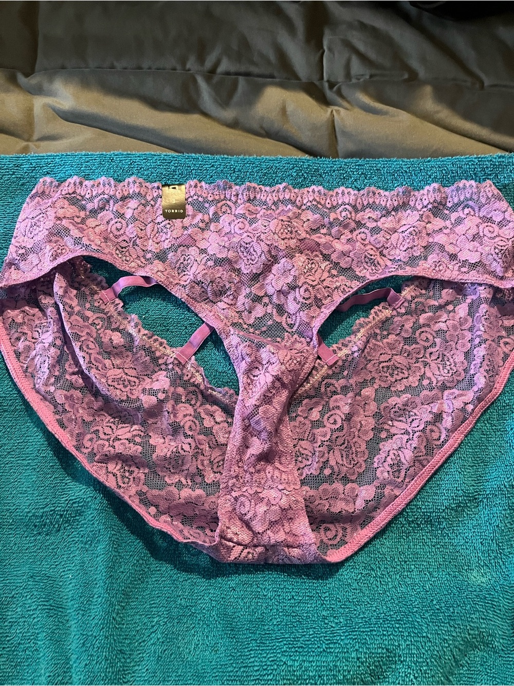 torrid Lavender Lace Bikini Panty